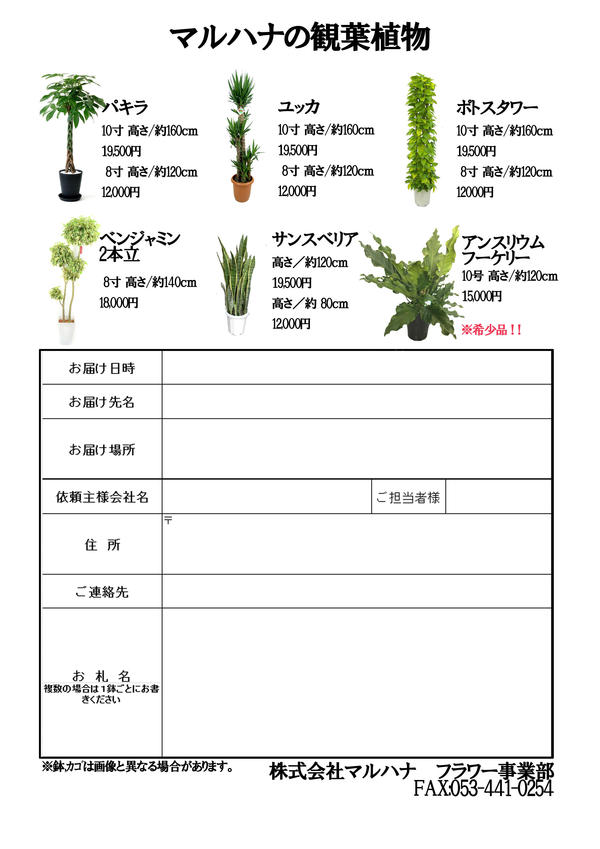 観葉植物カタログ.jpg
