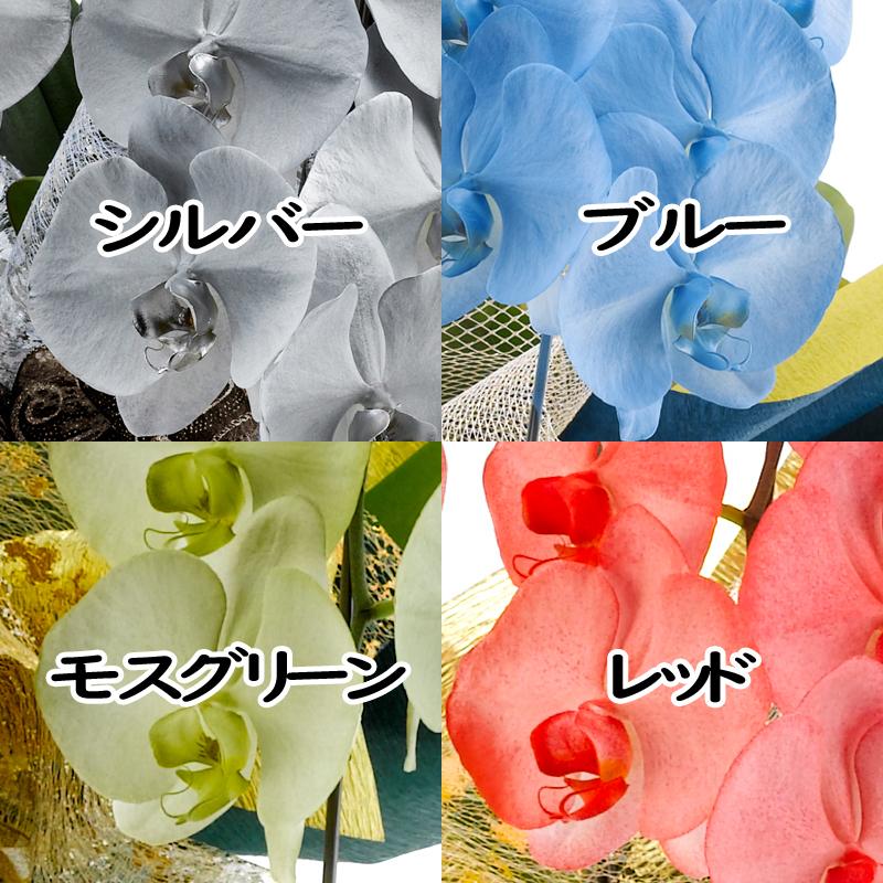 https://www.maruhana.biz/flower/images/2dc6bd0b9e565bd15ef5c97f7f8bf678ccb0c007.jpg