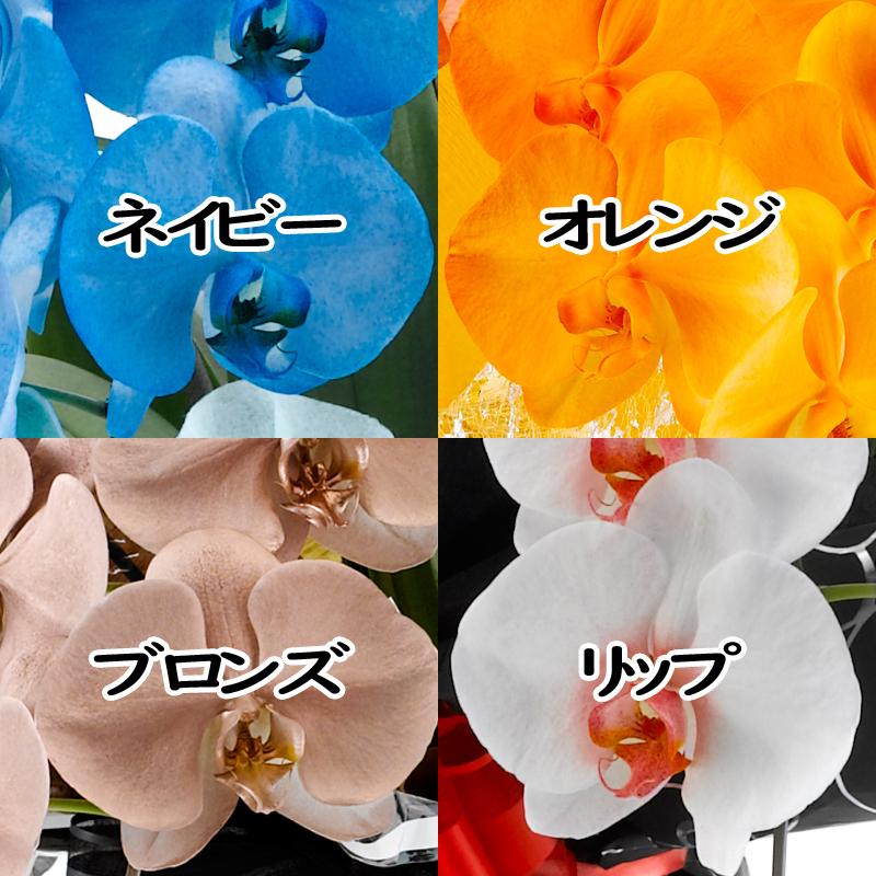 https://www.maruhana.biz/flower/images/e1aa1e26b8a00bf8b888764afa911428124b4c1c.jpg