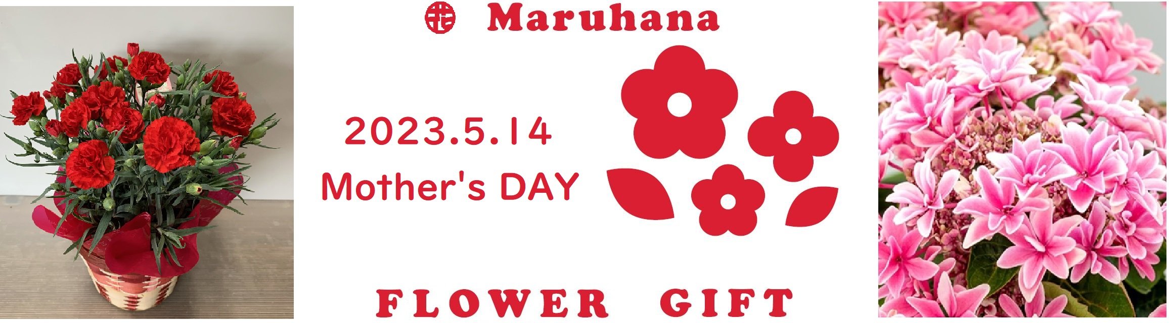 https://www.maruhana.biz/flower/images/mothersday.JPG