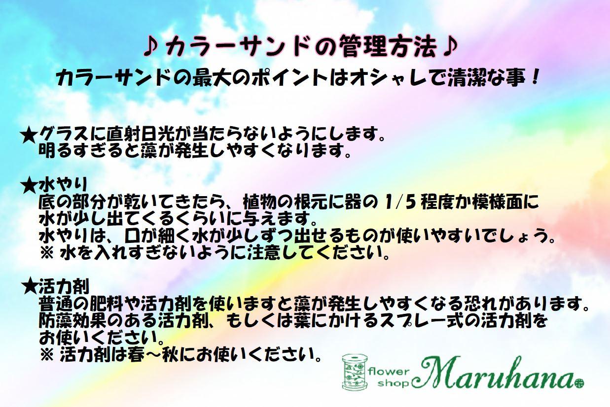 https://www.maruhana.biz/flower/images/setumei-k.JPG