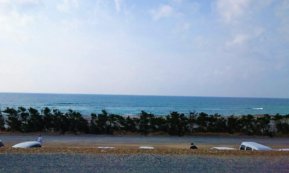 海
